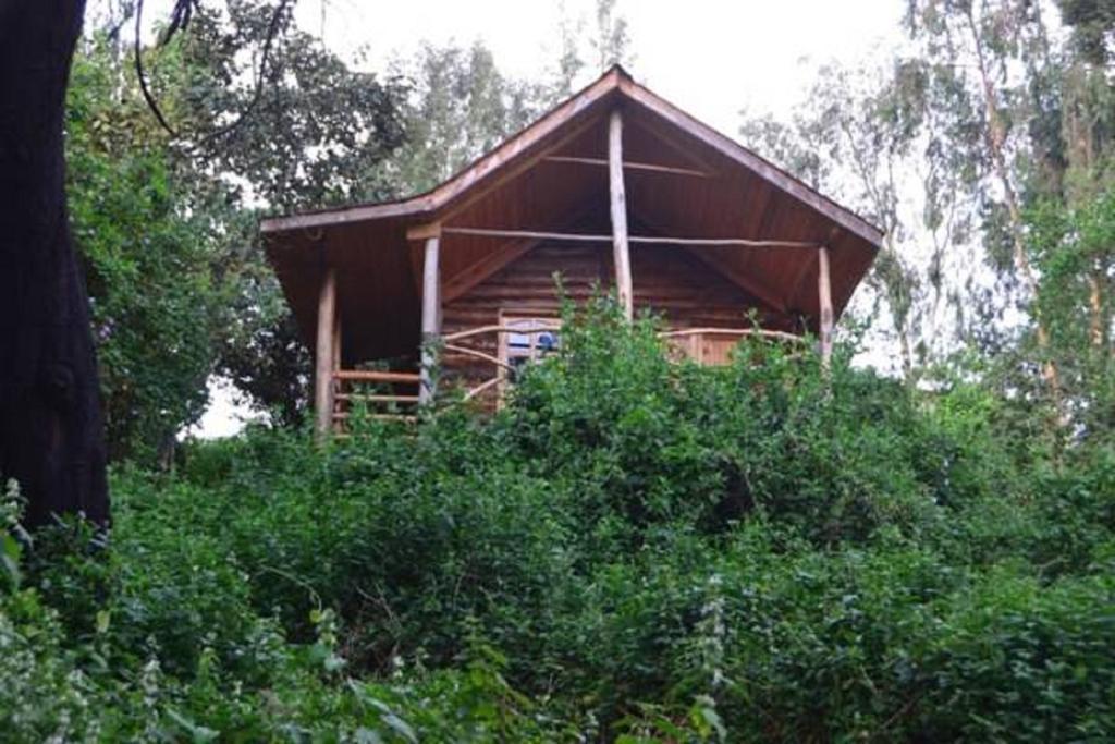Lake Bunyonyi Eco Resort Chabahinga Ruang foto